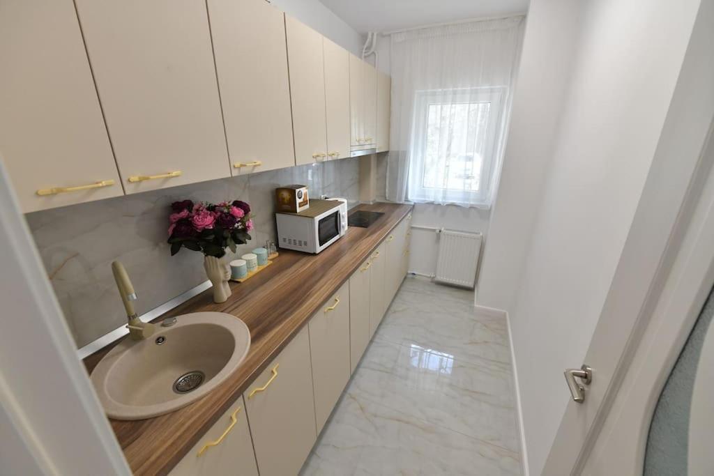 Apartmán Luxury Studio / Ghencea Bukurešť Exteriér fotografie